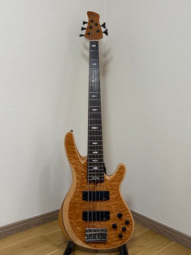Ibanez trb1005j string bass - trb1005j, 5-string