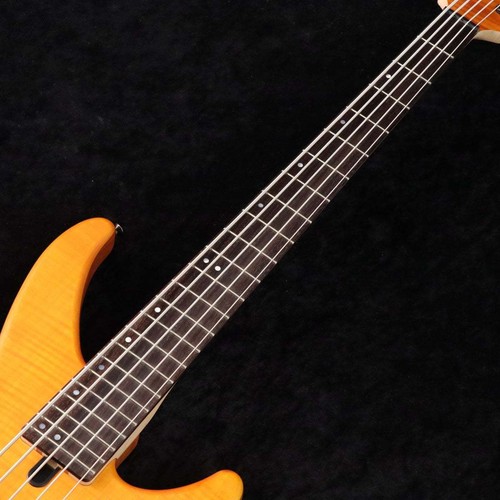 Trbx605fm mat amber string - amber, 5-string